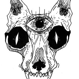 Meet your Posher, Tsila